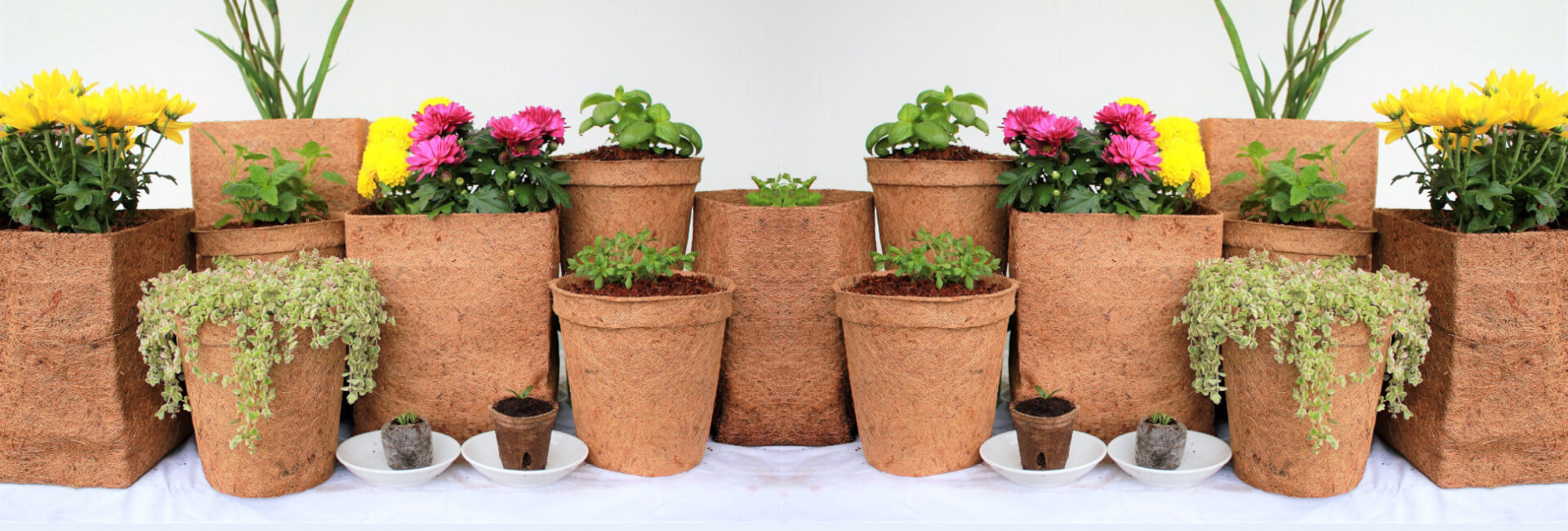 Growing Medium For Plants